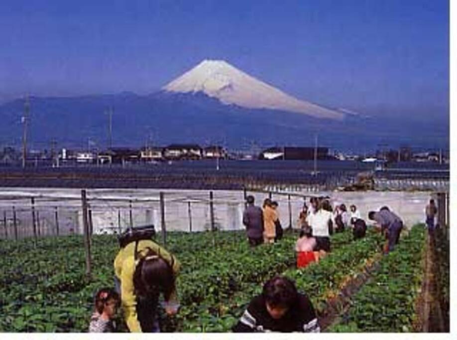 ゲストハウス+カフェわ　１日１組限定！ 築１００年の農家の古民家で宿泊体験、薪でお風呂沸かせます。焚き火もできます。 函南町 エクステリア 写真